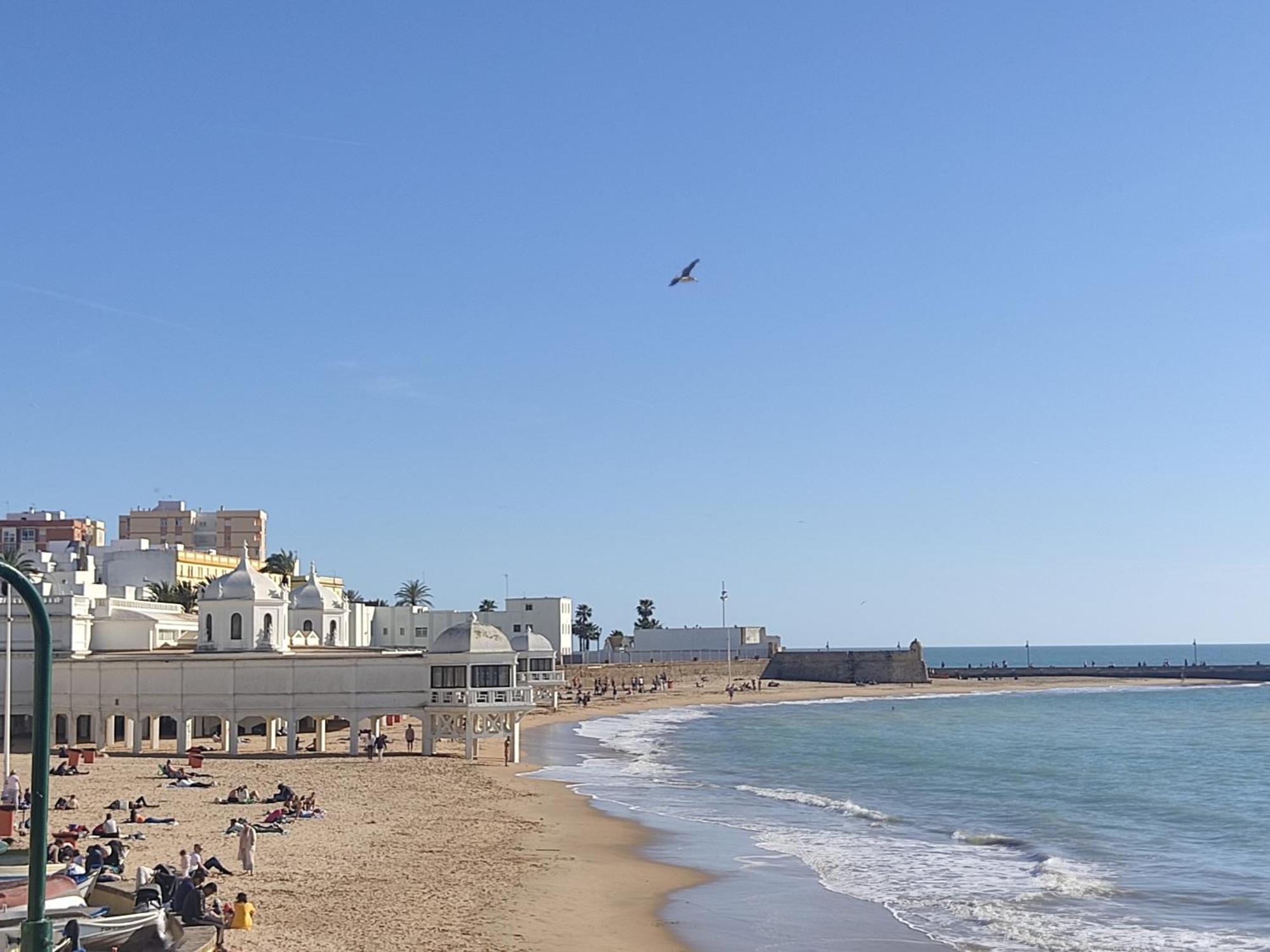 Estreno Centro Y Playa Cadiz Lejlighed Eksteriør billede